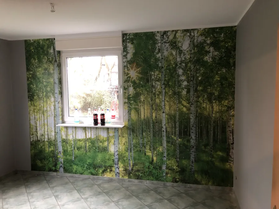 Wand mit Fototapete, die einen Birkenwald zeigt